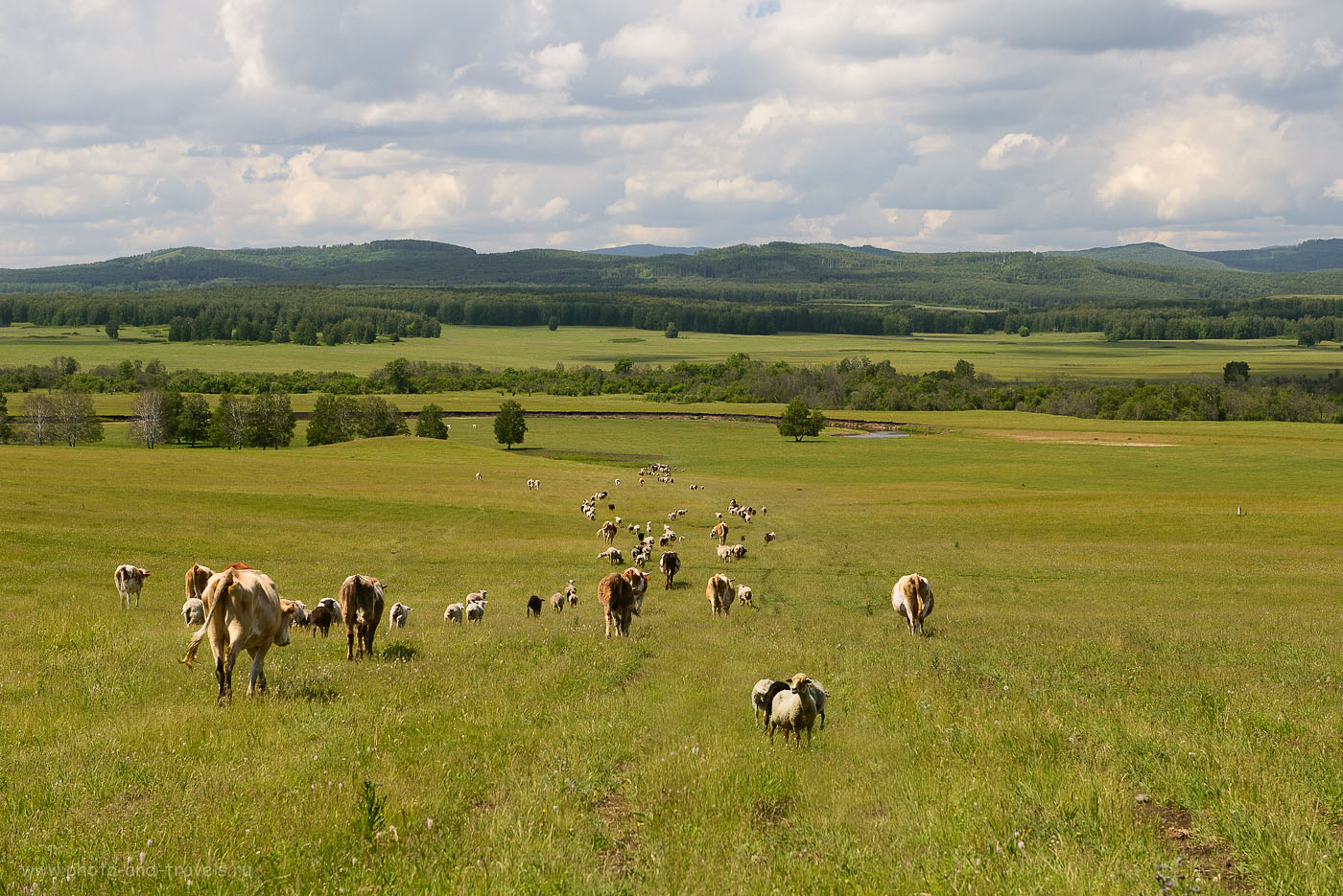 Voznesenka